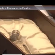 In a highly unusual session of the Mexican Congress, the fossilized bodies of two alleged "alien" beings were displayed before politicians, sparking significant controversy. The presentation, led by journalist and UFO scientist Jaime Maussan, featured the